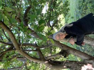 Tanya Garduno - Baby Roshester, USA