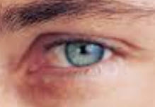 Cameron Monroy - Daddy Michigan, USA