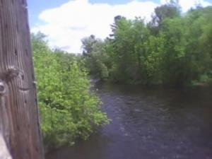 James Price - Daddy Rockford, USA