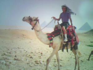 Kevin Sample - Daddy Manchester, United Kingdom