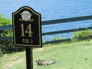 Manuel Taylor - Daddy New Orleans, USA