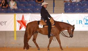 Steve May - Daddy Birmingham, United Kingdom