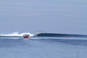 William Mauldin - Daddy Colorado, USA